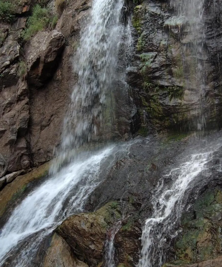 Wild Grove Resorts Varagampadi