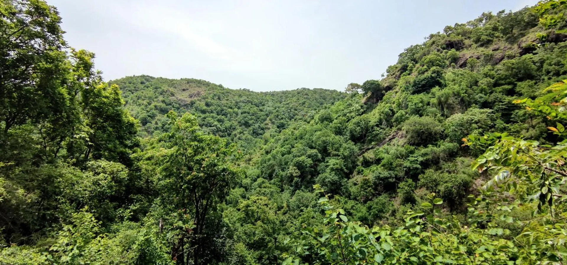 Wild Grove Resorts Varagampadi 0*,