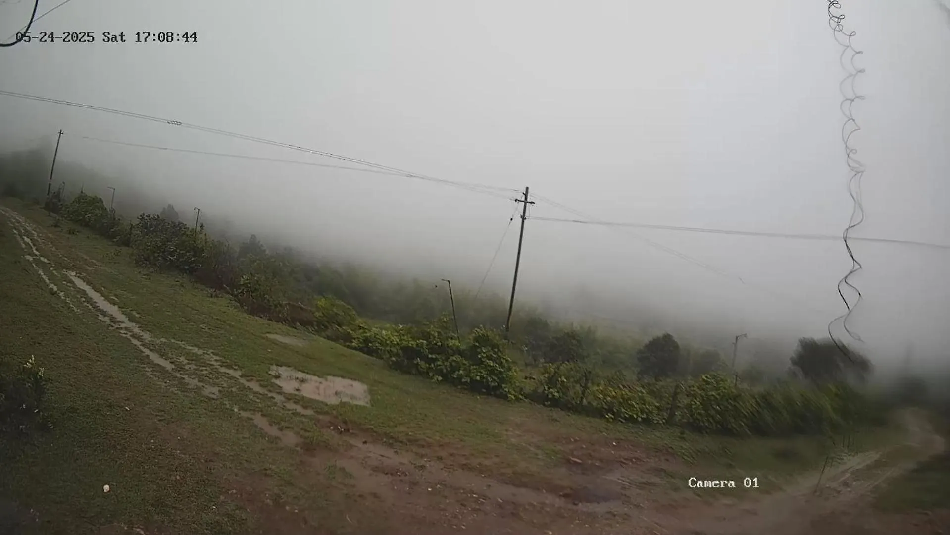 Wild Grove Resorts Varagampadi 0*,  Indie